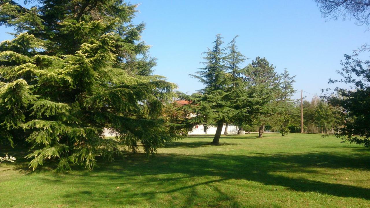 Le Pontet Bed and Breakfast Miramont-de-Guyenne Εξωτερικό φωτογραφία